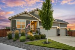 Patrick bohn 79 I4fi5nh40 unsplash